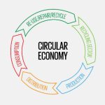 Decoding Impact of Capacity building programs and Competitions – Case of Circular Economy Challenge 2020
