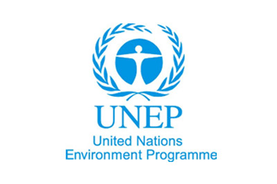 Development of International Cleaner Production Information Clearinghouse for UNEP DTIE
